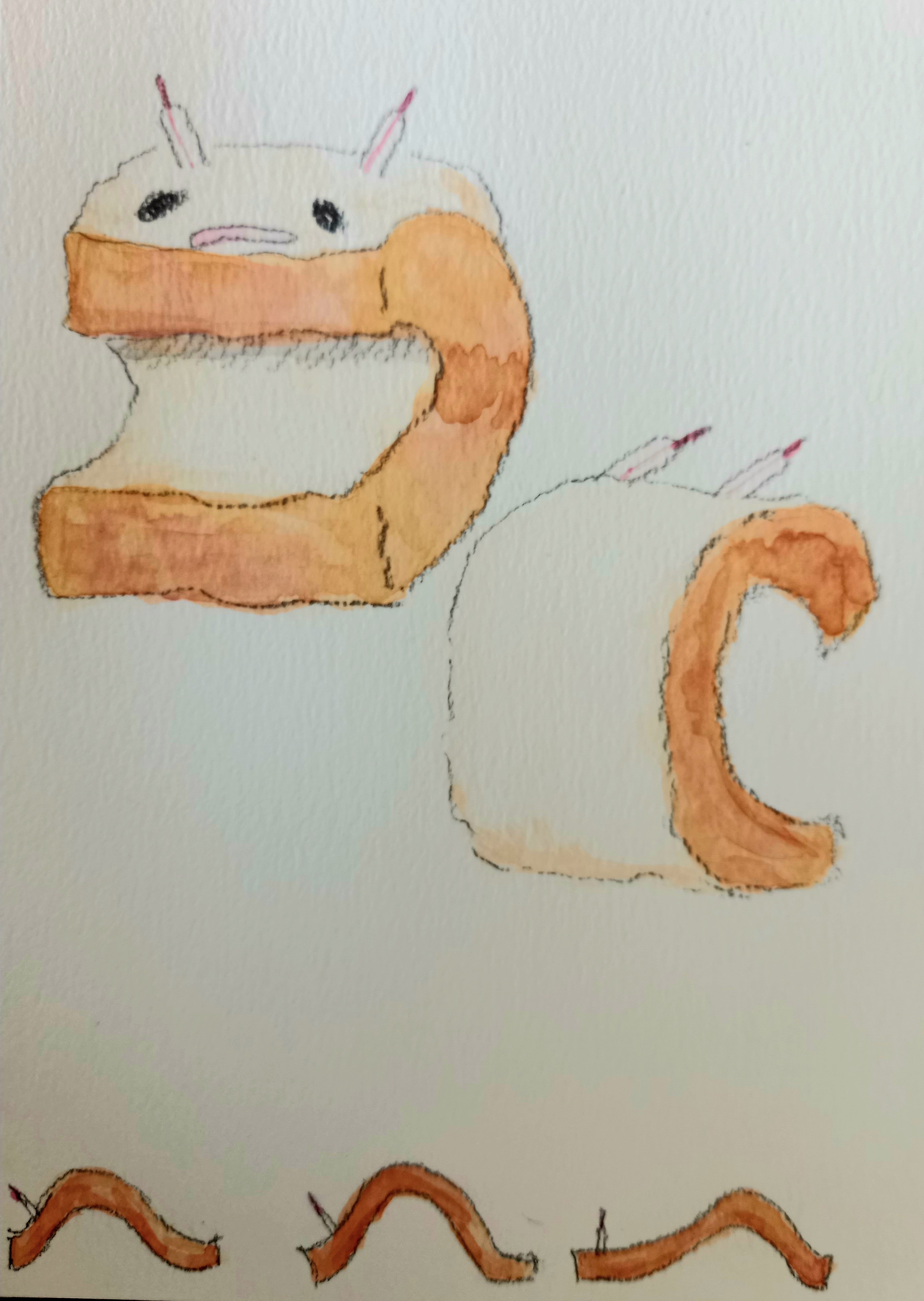 パング