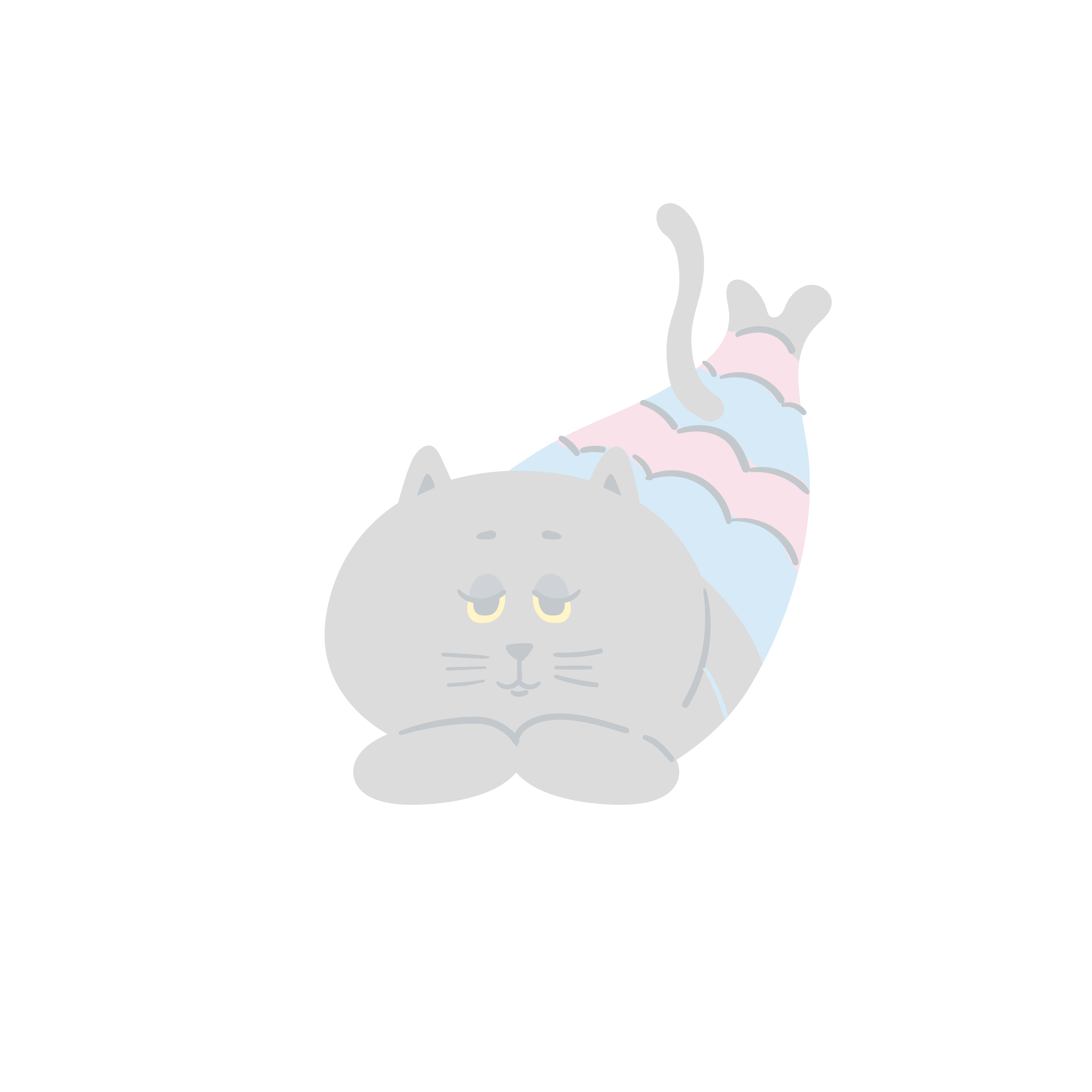 ミャーメイド