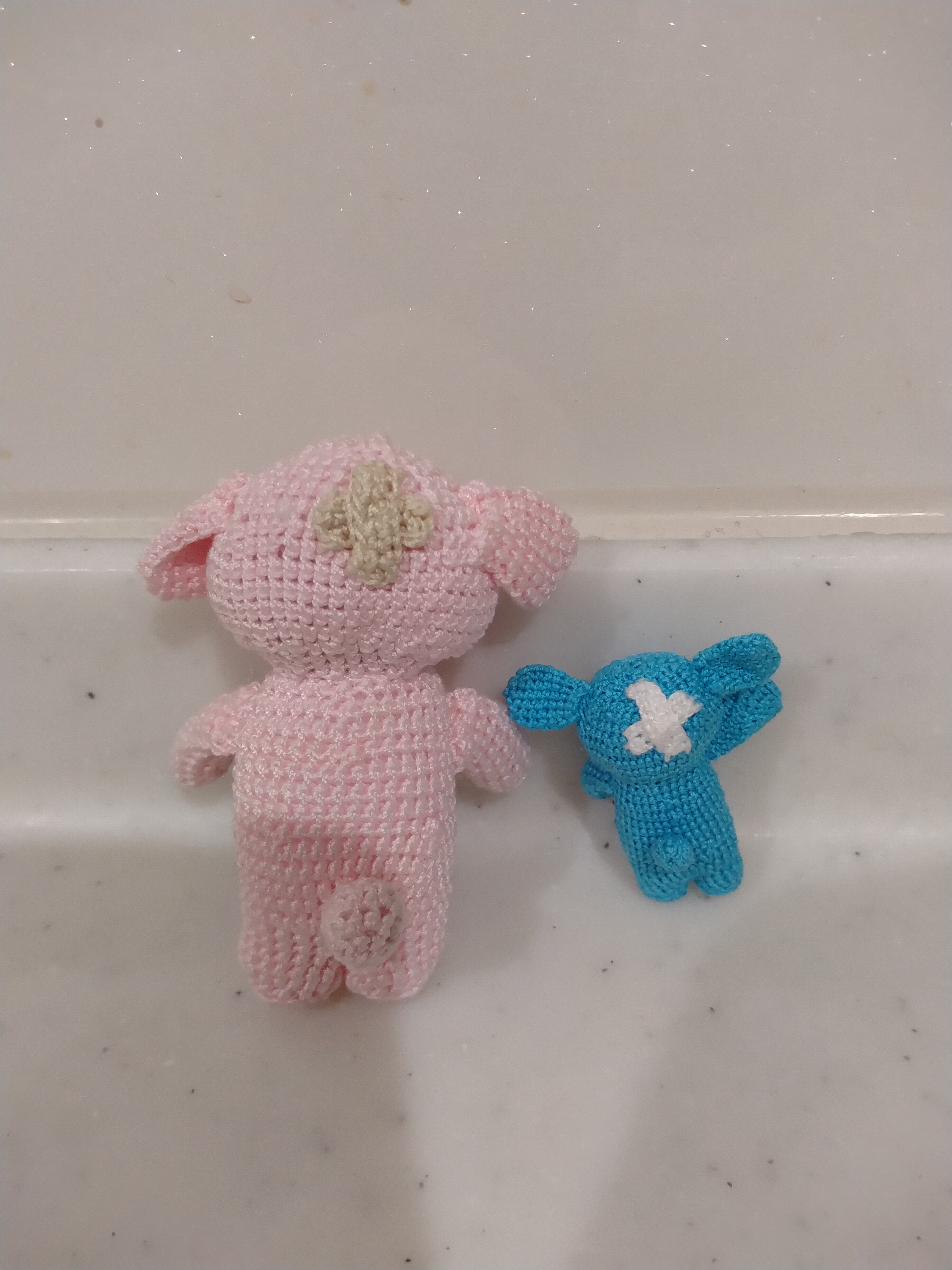 ぷーとむー