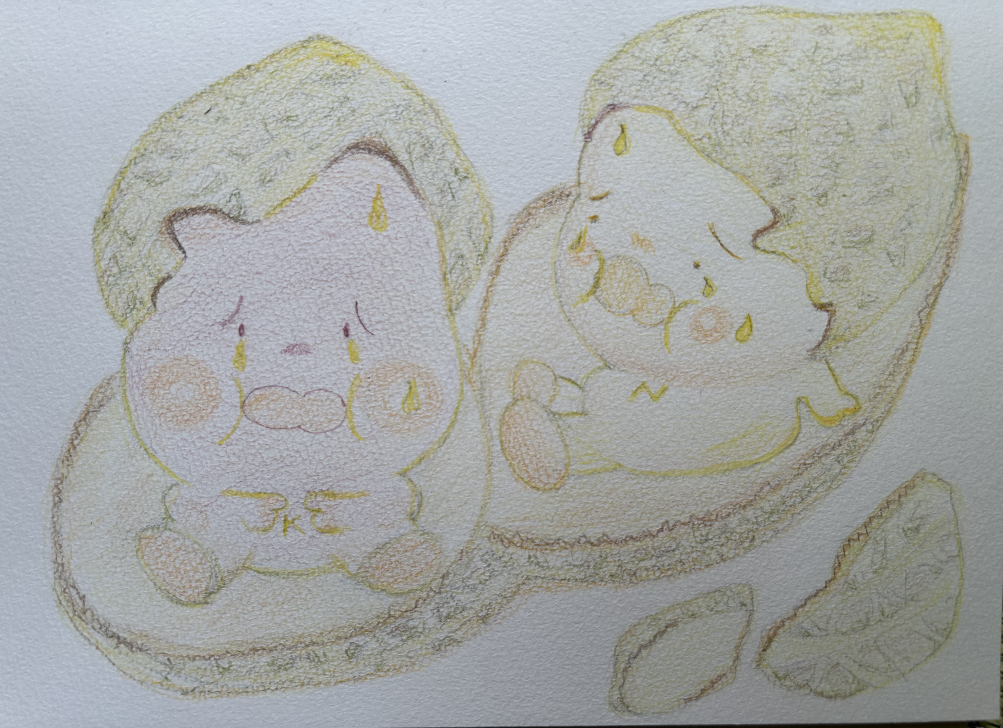 なんきん豆ブラザーズNナンKキンちゃん