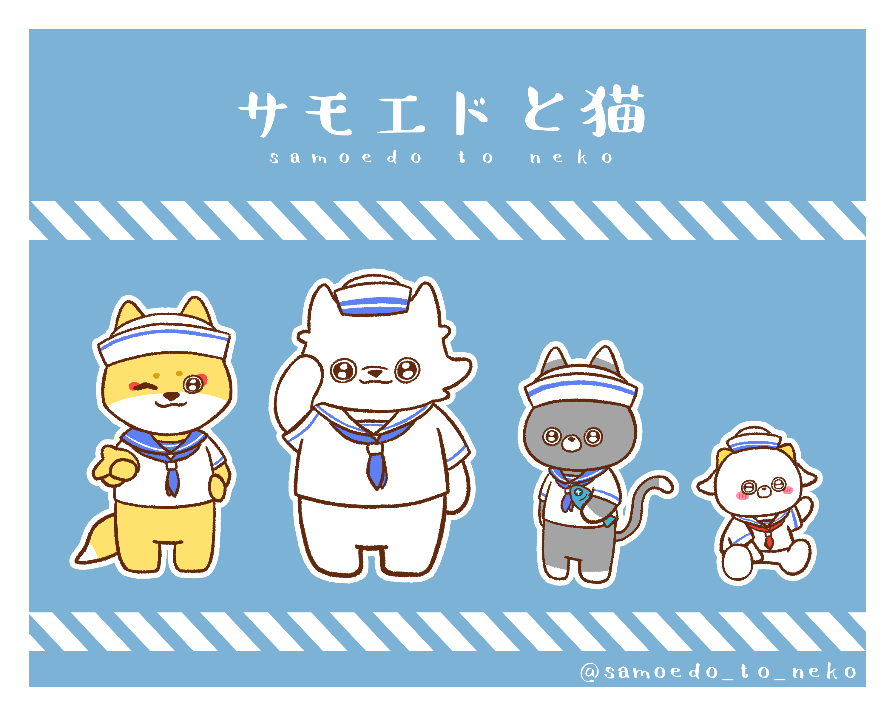 サモエドと猫