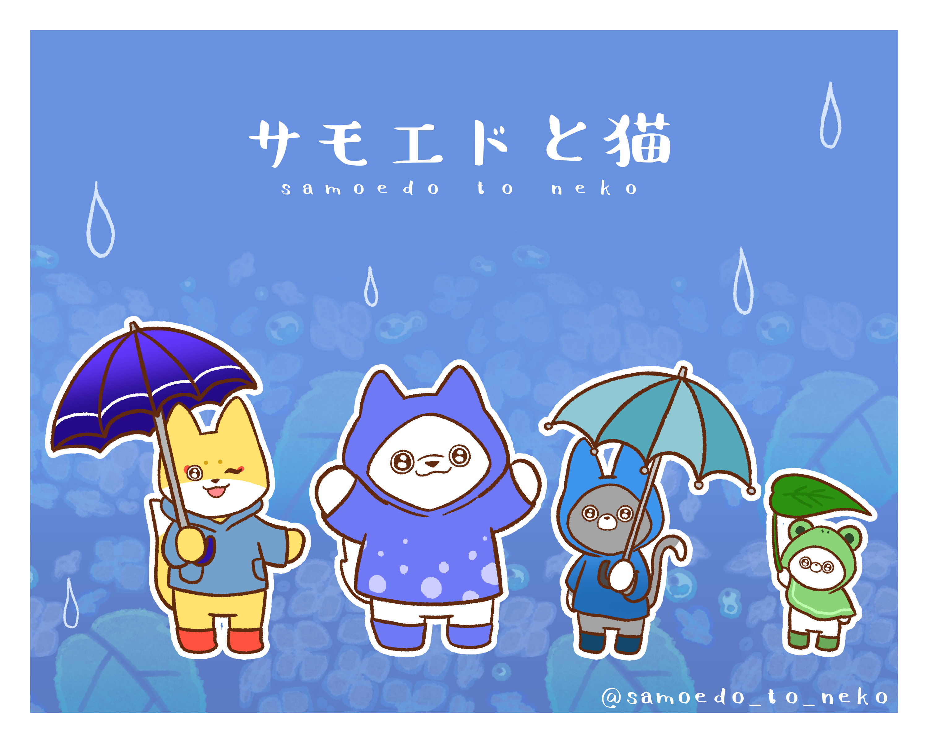 サモエドと猫
