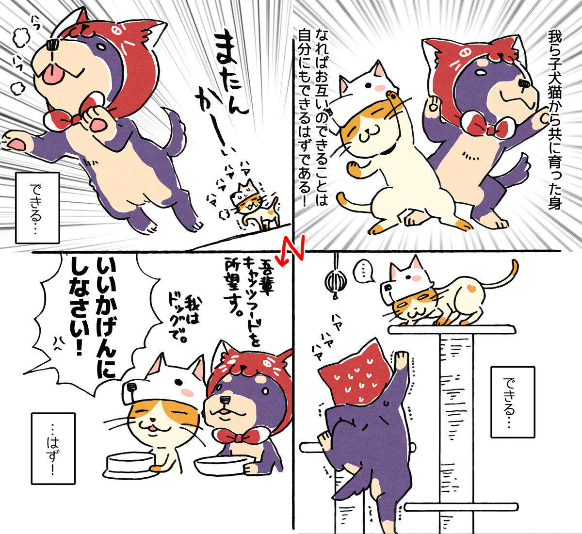 いぬこ同盟