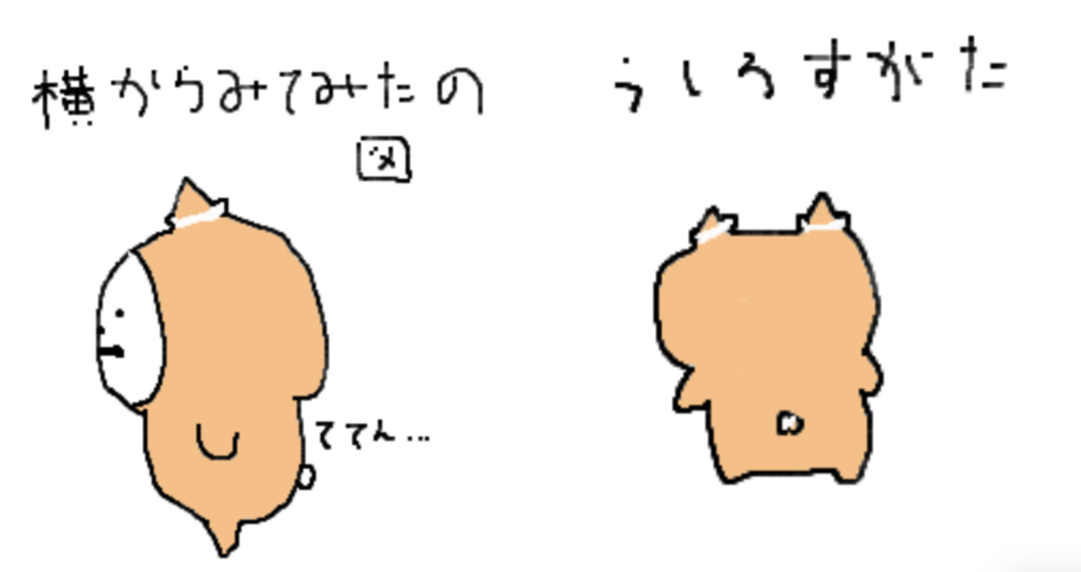 きんちゃくま