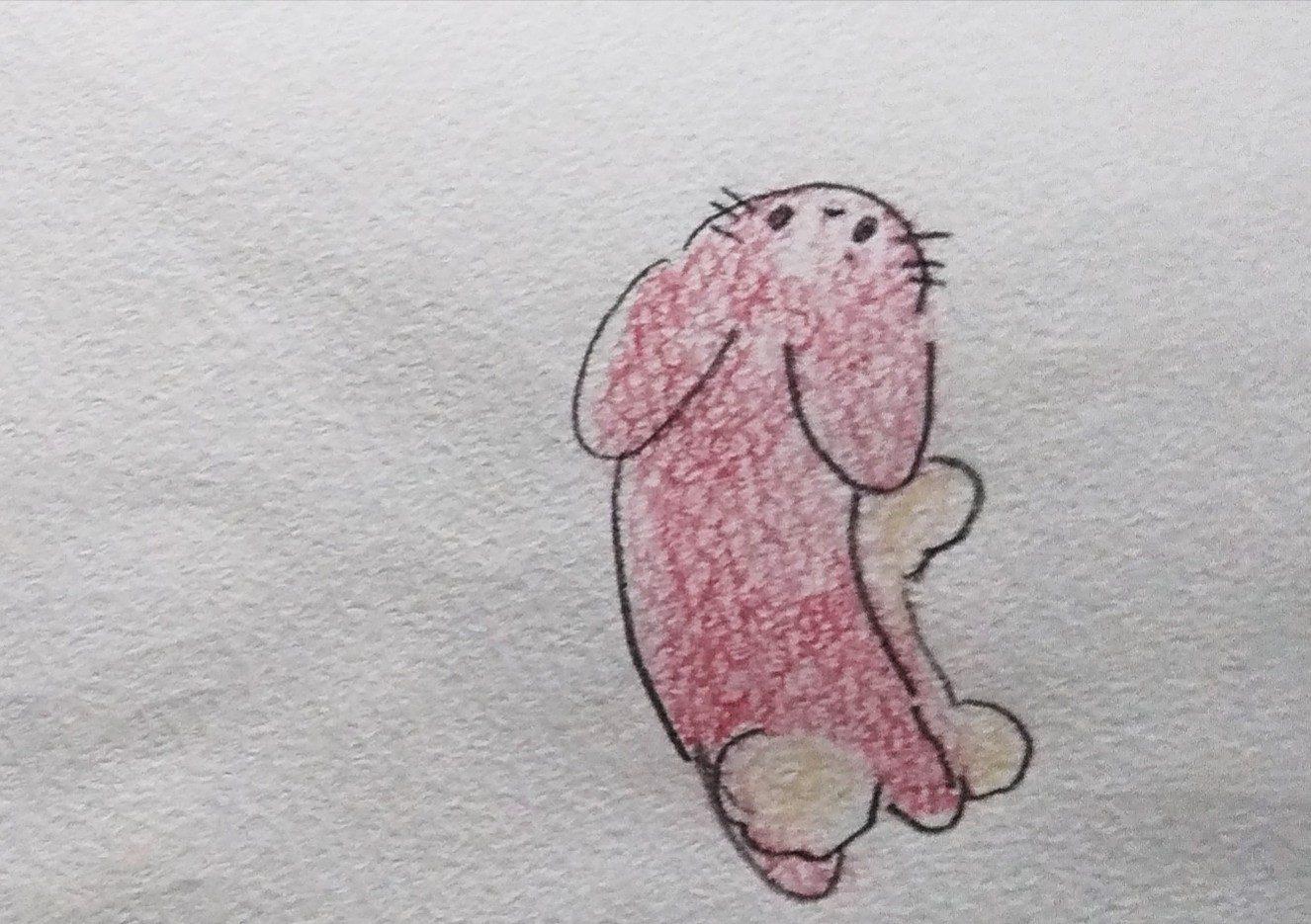 リンゴウサギ