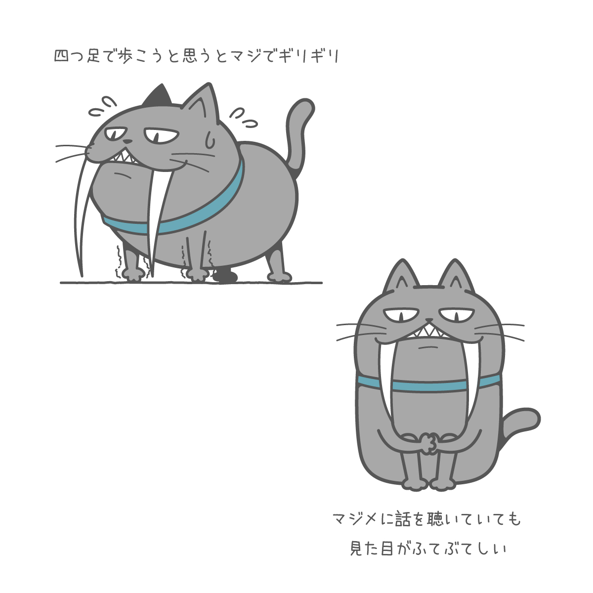 サーベルにゃんこ