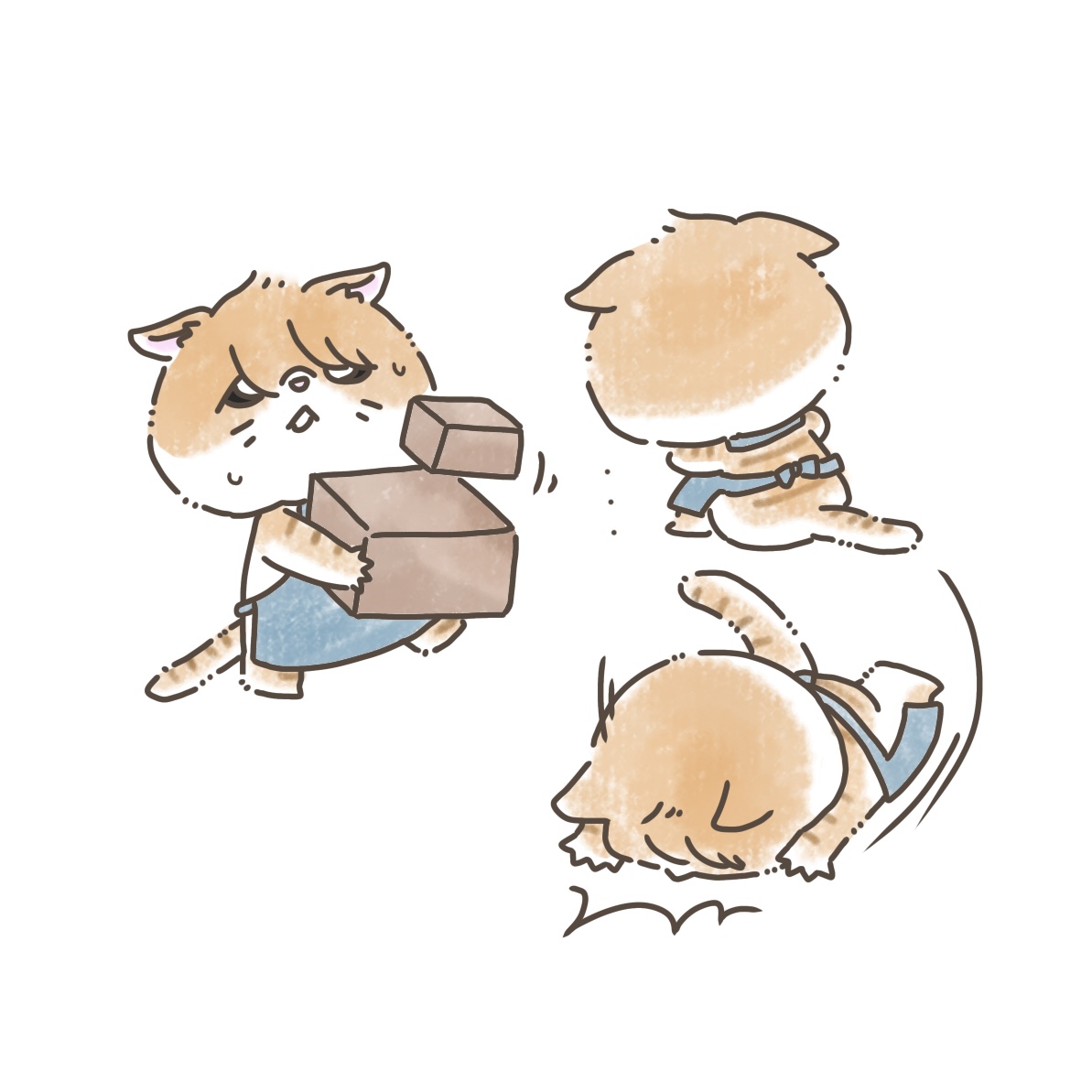 できそこにゃい