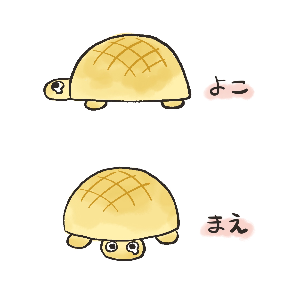 泣き虫カメロンパン