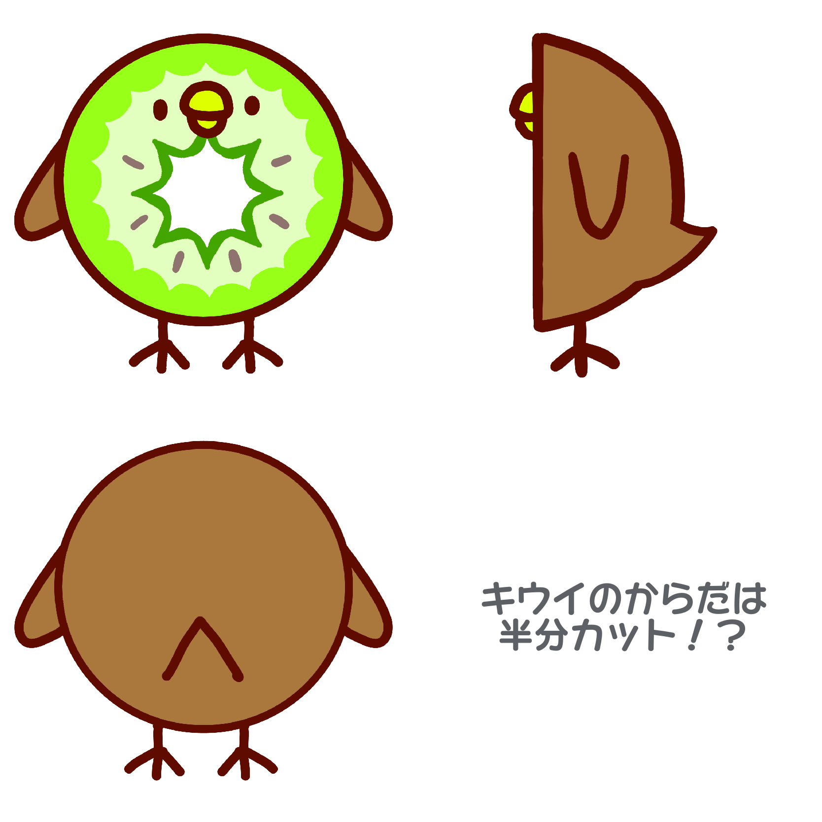 キウイフルーチュン