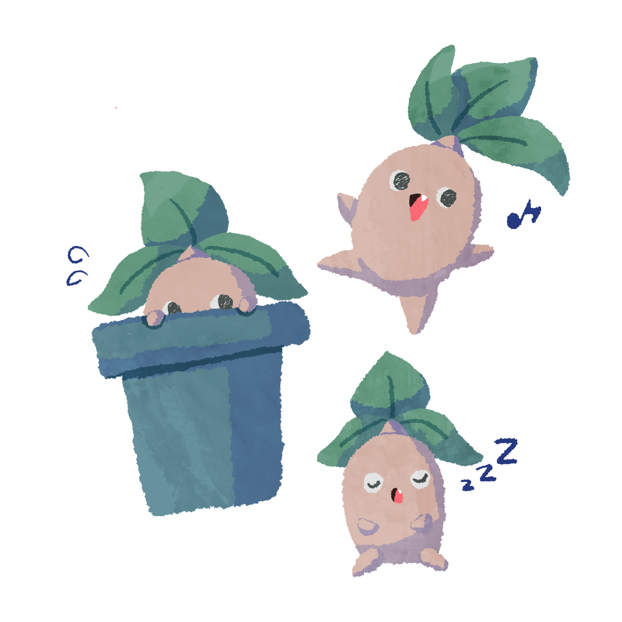 ソフトボイス・マンドラゴラ