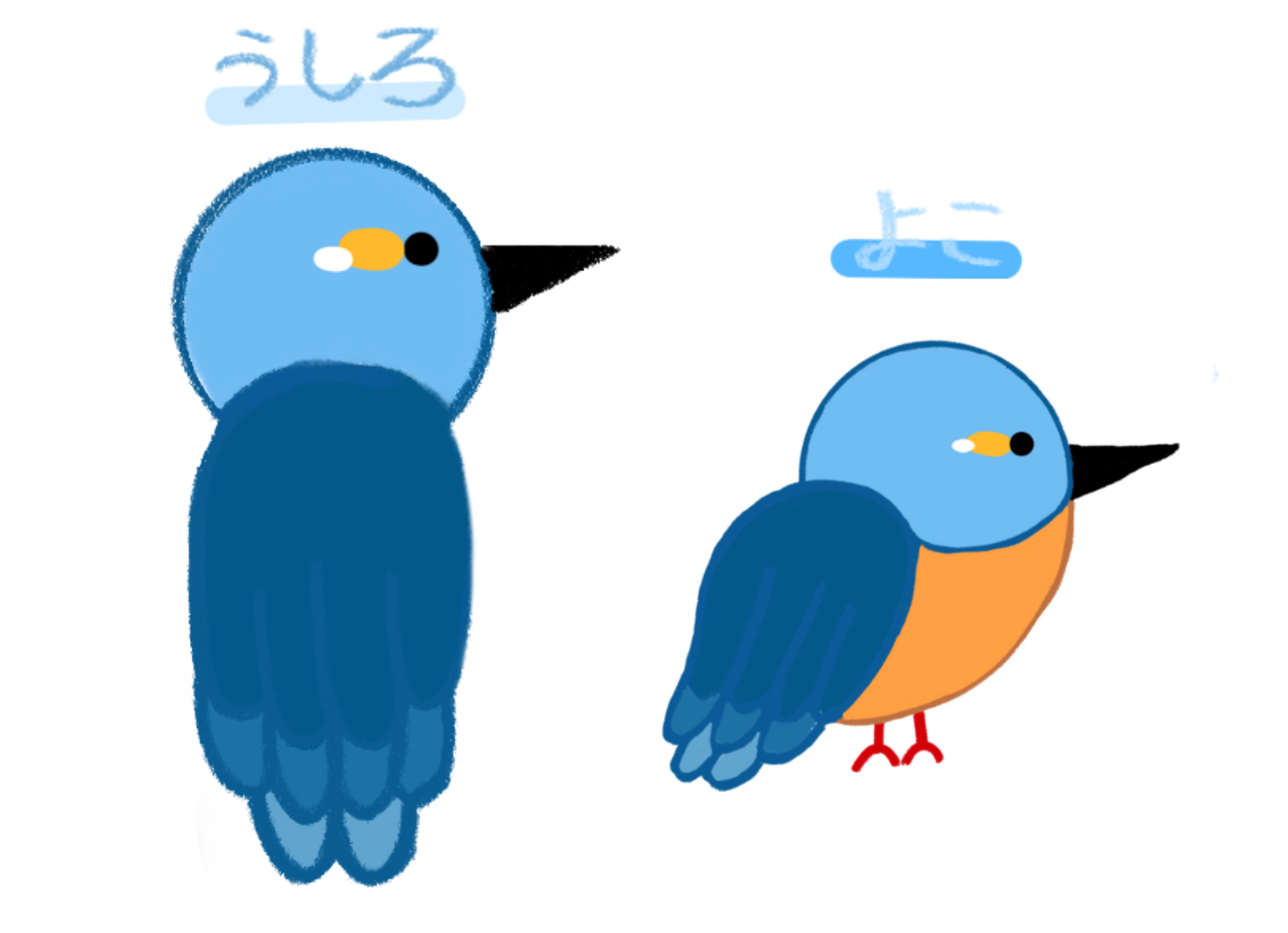 陽気なカワセミ