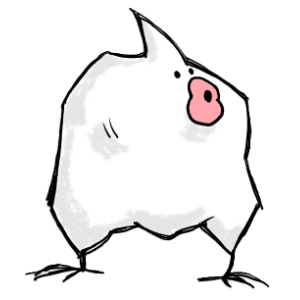 白いオカメインコ アルシンド