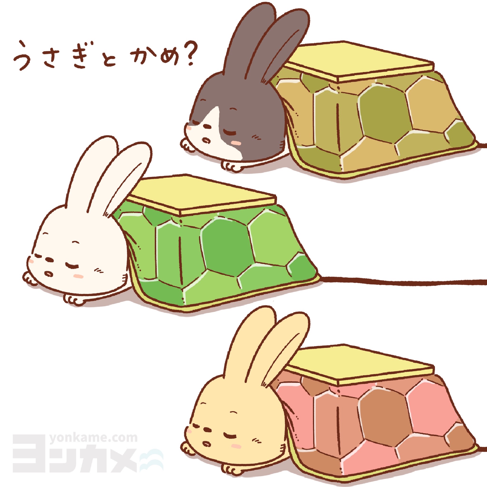 うさぎとかめ？