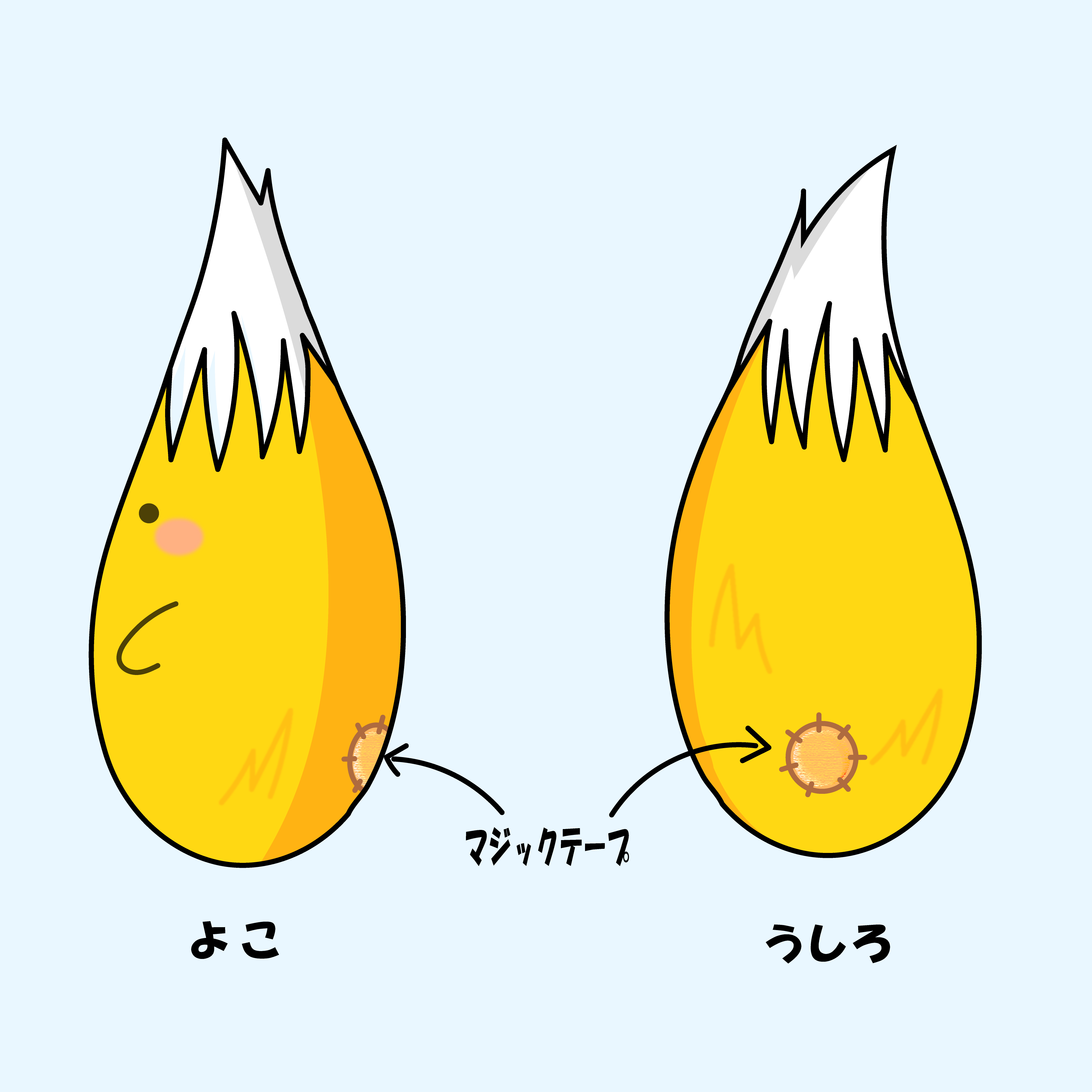 しっぽのようなもの(きつねっぽ)