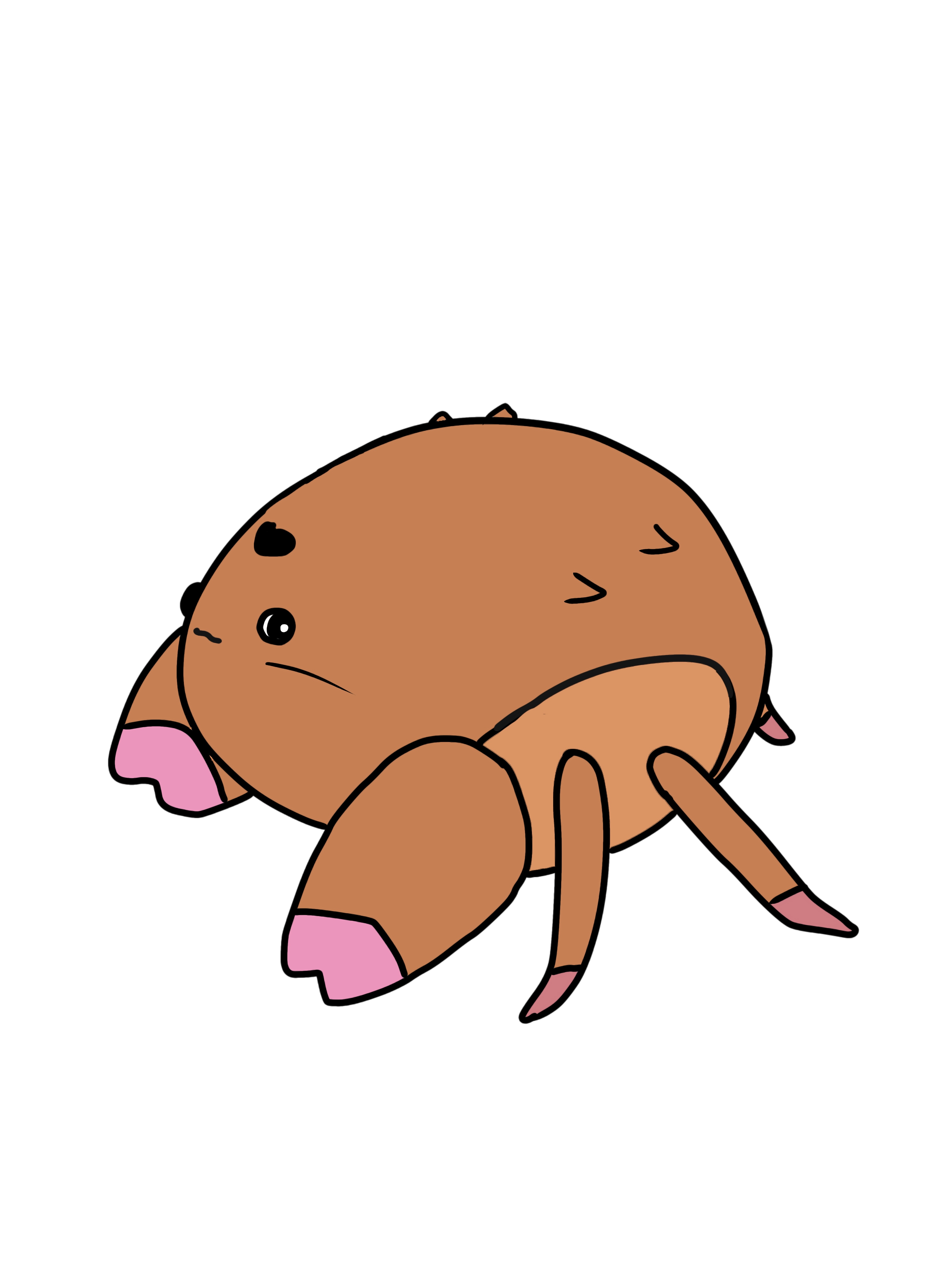 なんでも被るカイカムリさん。