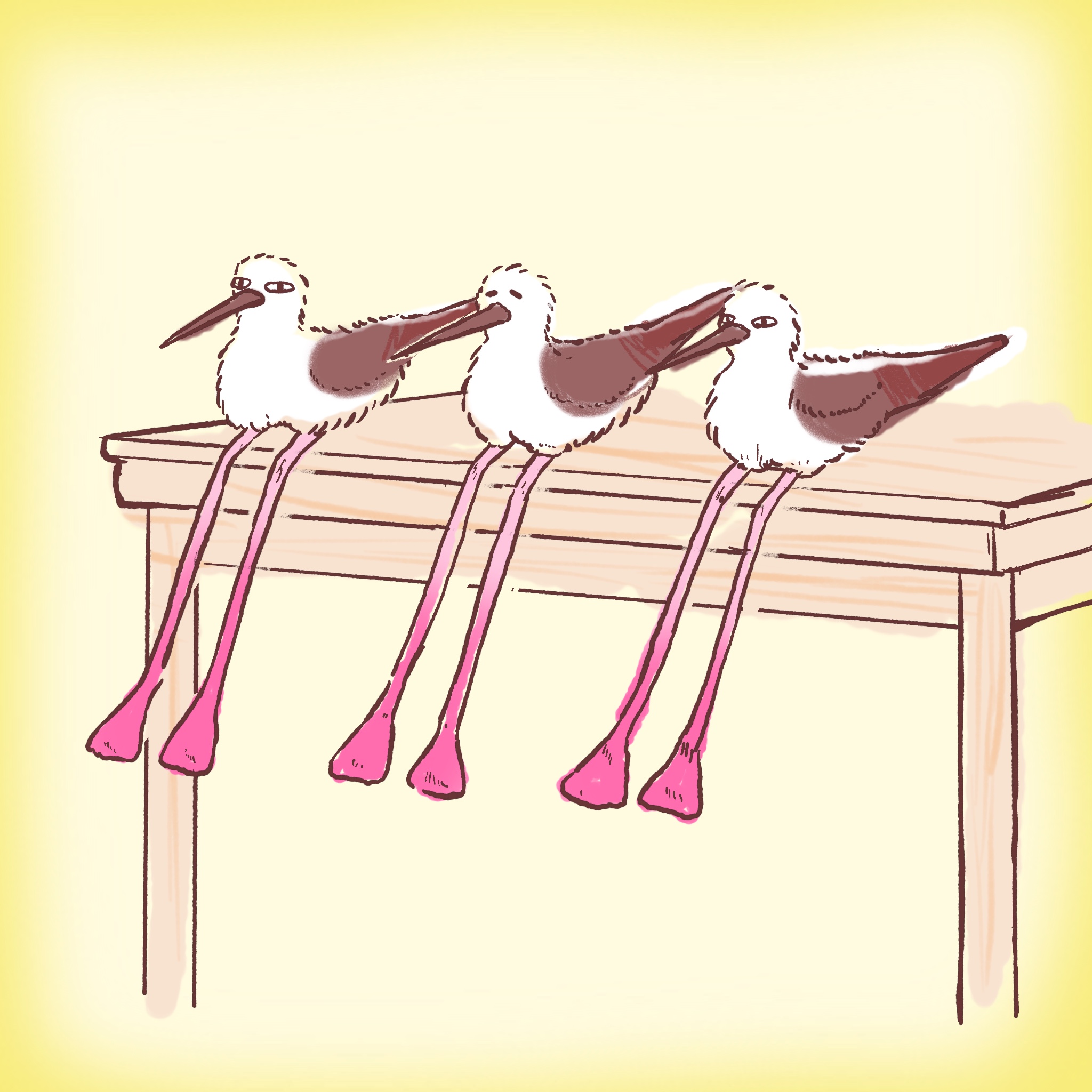 セイタカシギさん