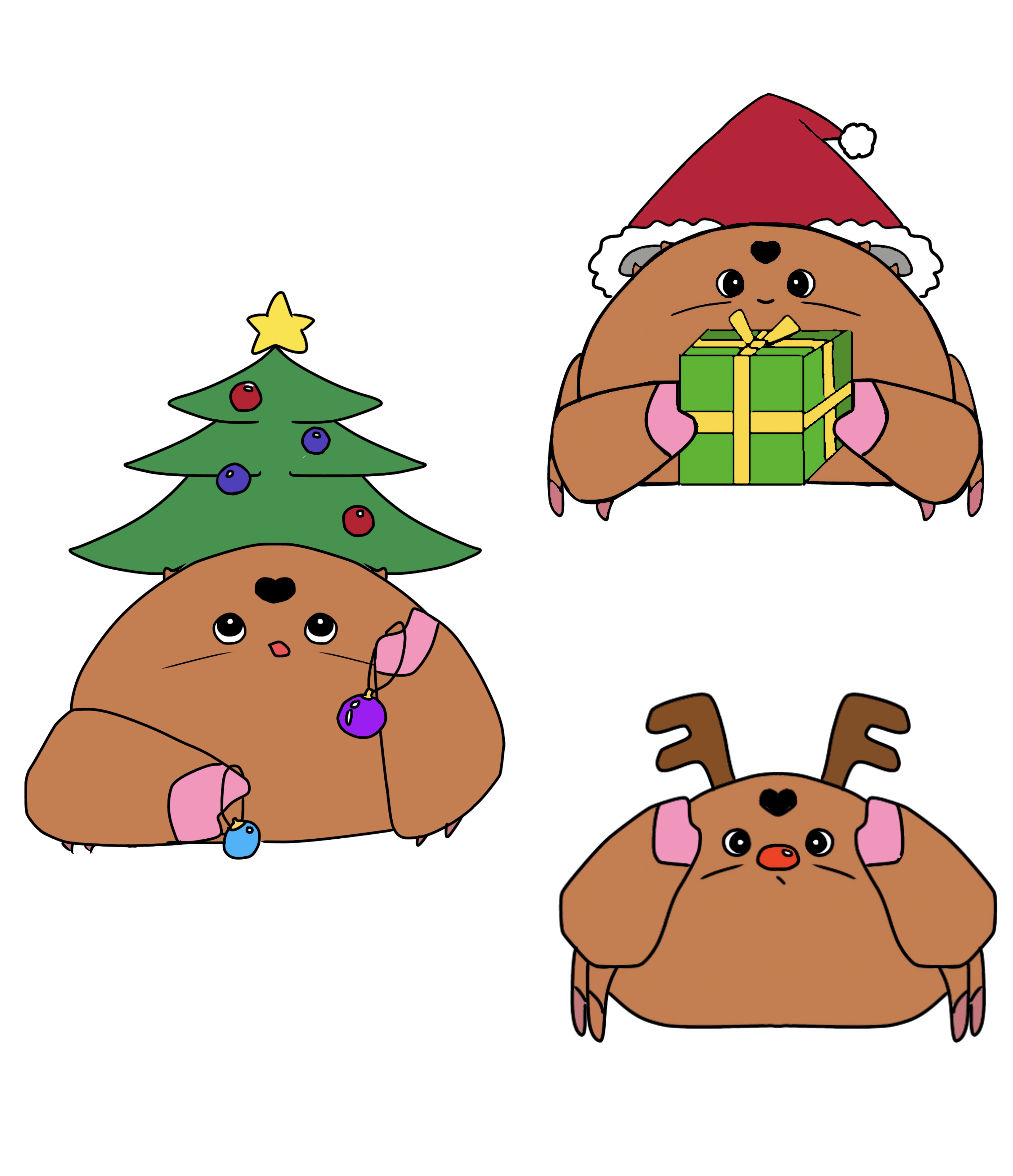 何でも被るカイカムリさん。