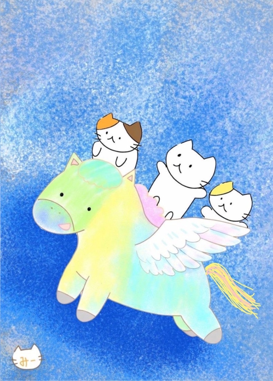 ねこ123(ワンツースリー)