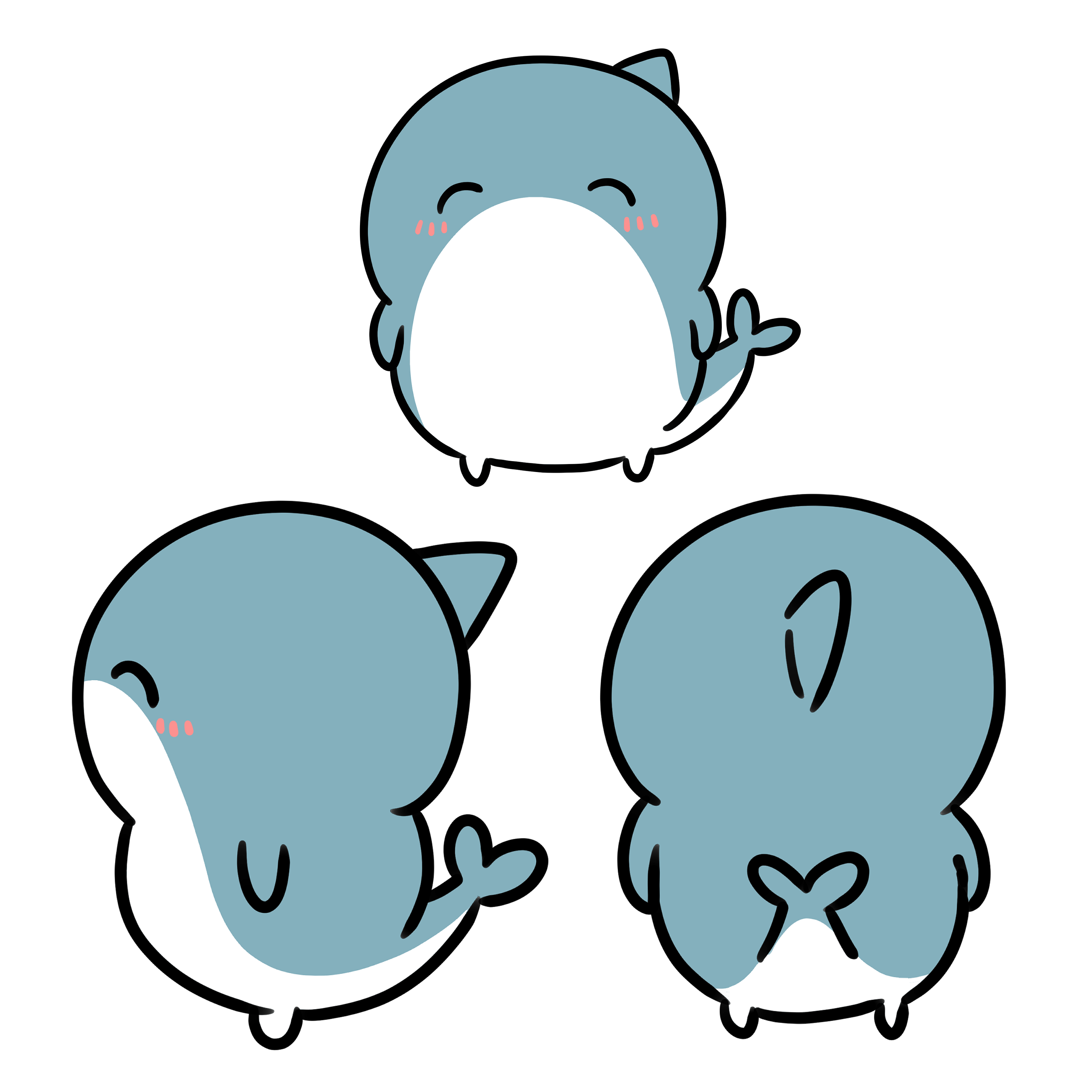 あんよがあるイルカちゃん