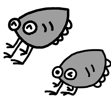 ゆるっと古生物　ぱりしかりす