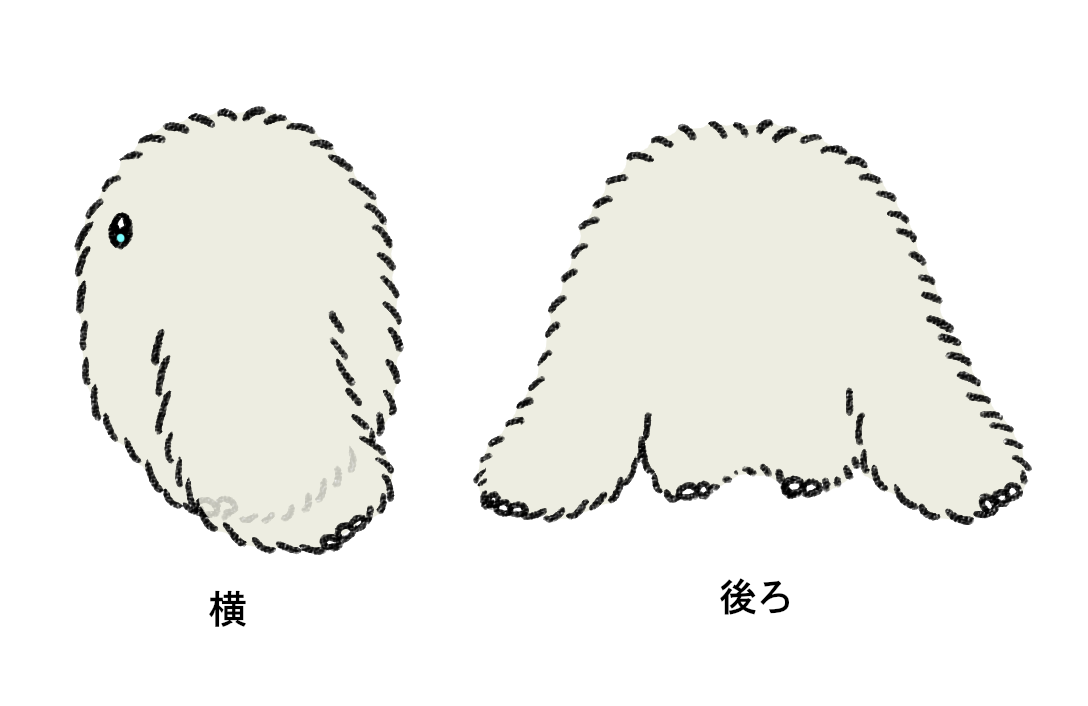 ちょこんとイエティ