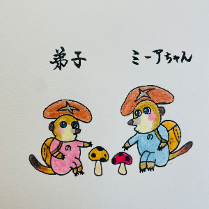 ミーアちゃんと弟子