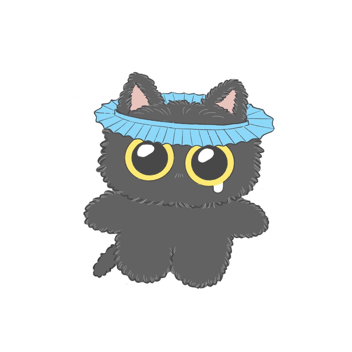 シャワー拒否界隈の子猫 ノワ