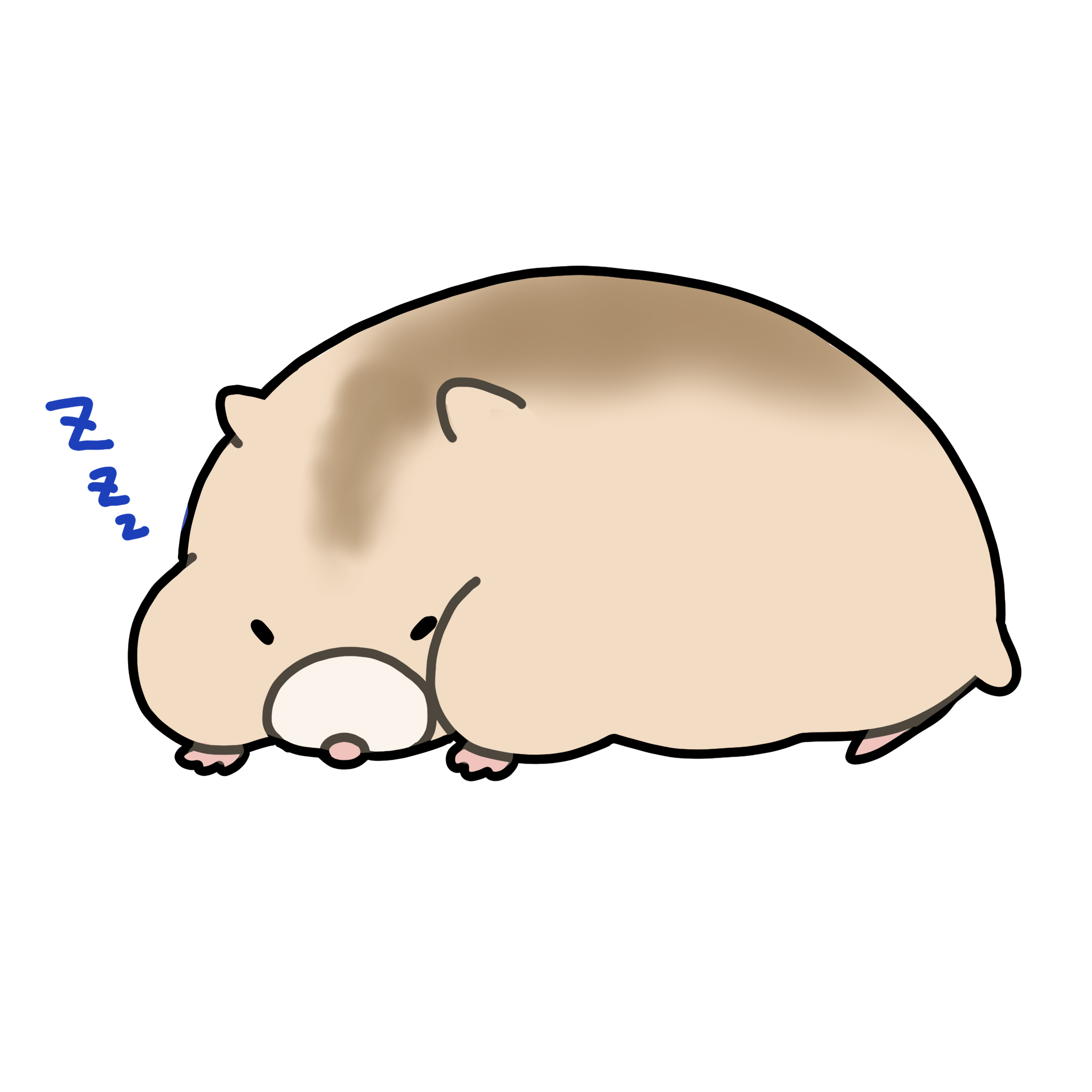 クリエイター名