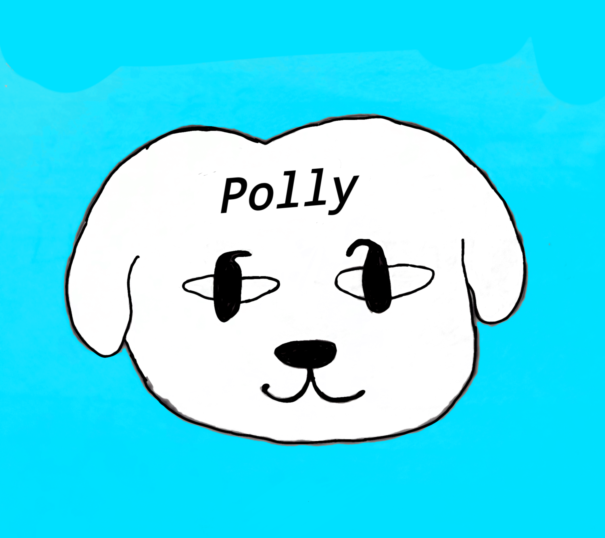 Polly2