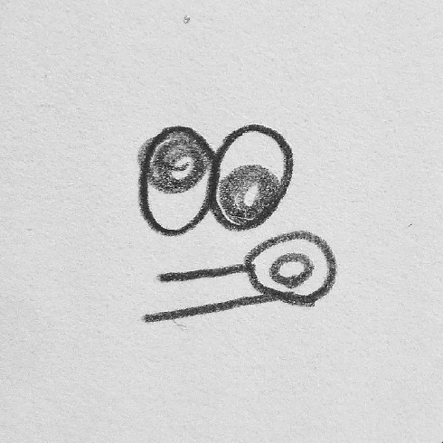 クリエイター名