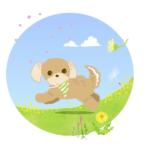 クリエイター名